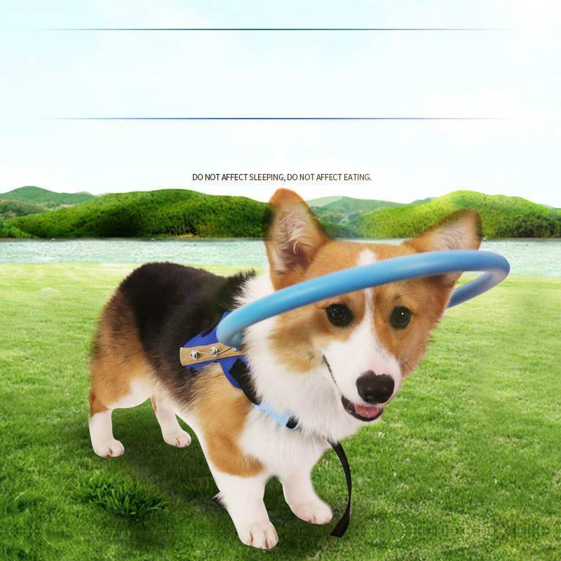 Protective Bumper Collar Harness Mobility Aid for Blind Dogs