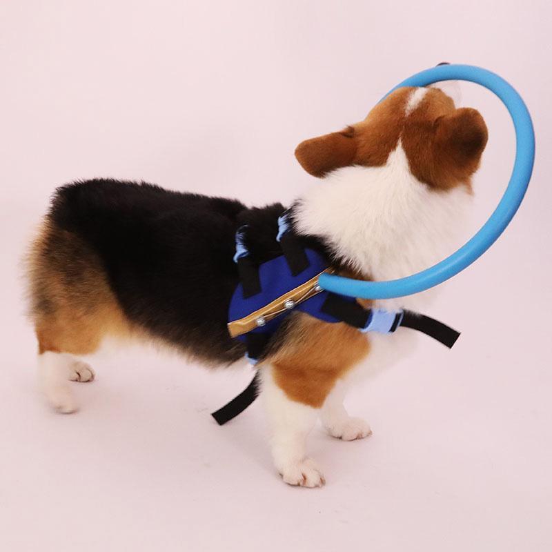 Protective Bumper Collar Harness Mobility Aid for Blind Dogs