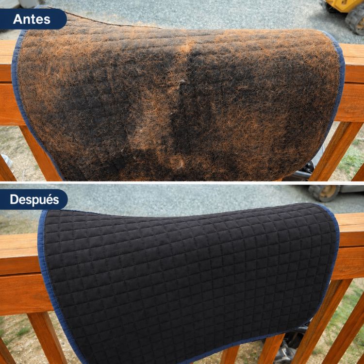 Guante Elonora™ (horse-es)
