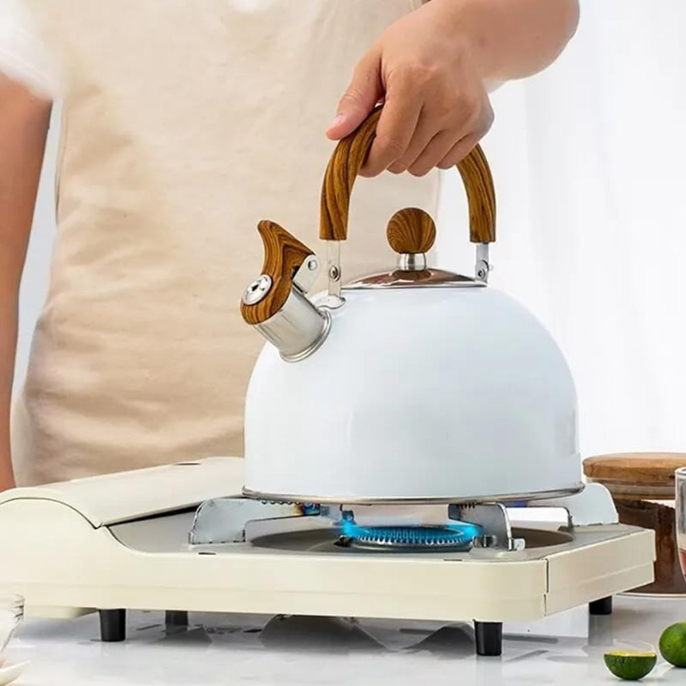 Whistling Stove Kettle Quick Boil Design for Daily Use