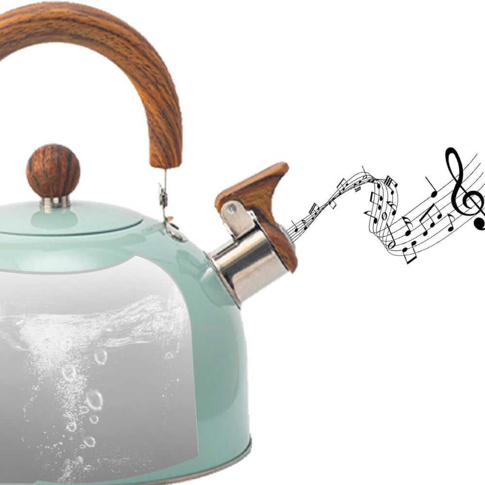 Whistling Stove Kettle Quick Boil Design for Daily Use