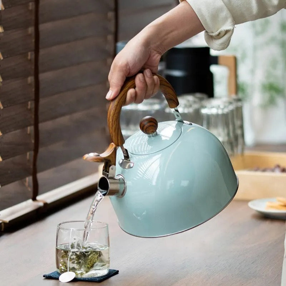 Whistling Stove Kettle Quick Boil Design for Daily Use