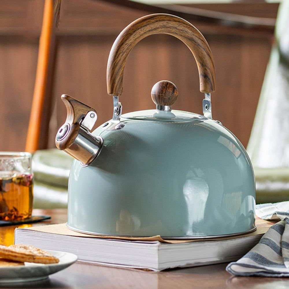 Whistling Stove Kettle Quick Boil Design for Daily Use