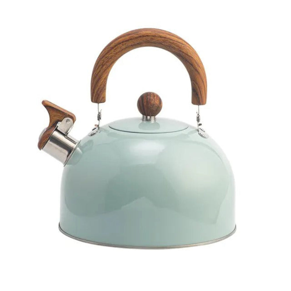 Whistling Stove Kettle Quick Boil Design for Daily Use
