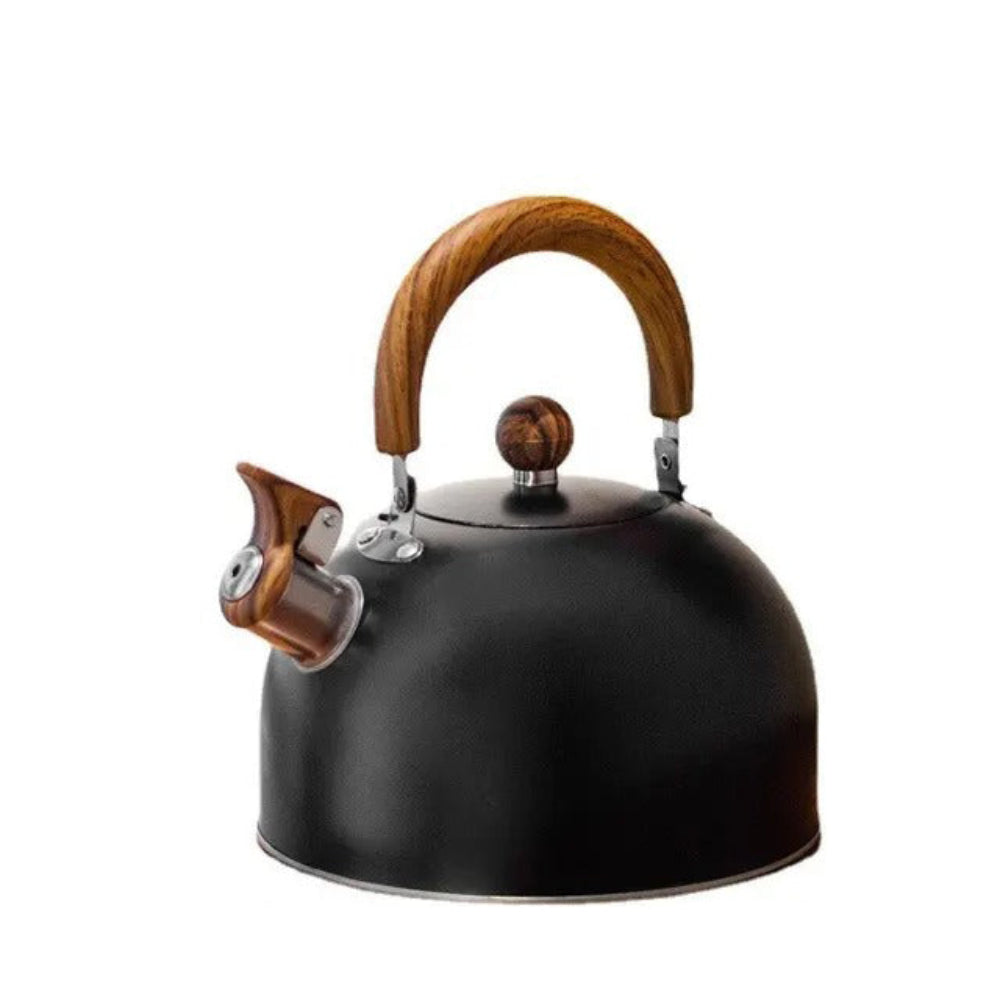 Whistling Stove Kettle Quick Boil Design for Daily Use