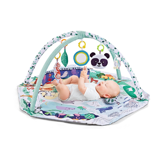 Baby Play Mat and Gym with Overhead Arches Hanging Toys and Activity Center