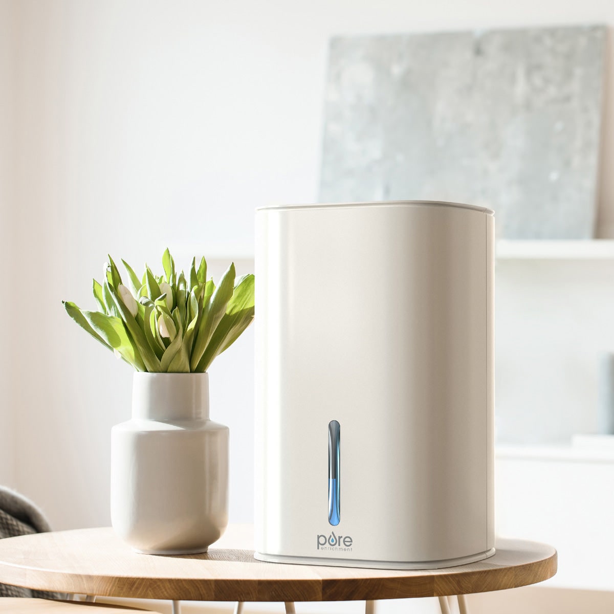 Basement Crawl Space Mini Dehumidifier for Bathroom with Portable Removable Tank for Small Rooms