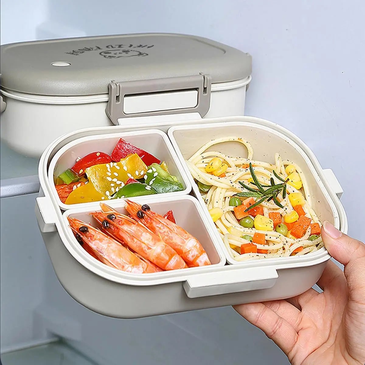 Bento Lunch Box with Removable Compartments Leak Proof Snap Lock Lid Insulated Carry Bag