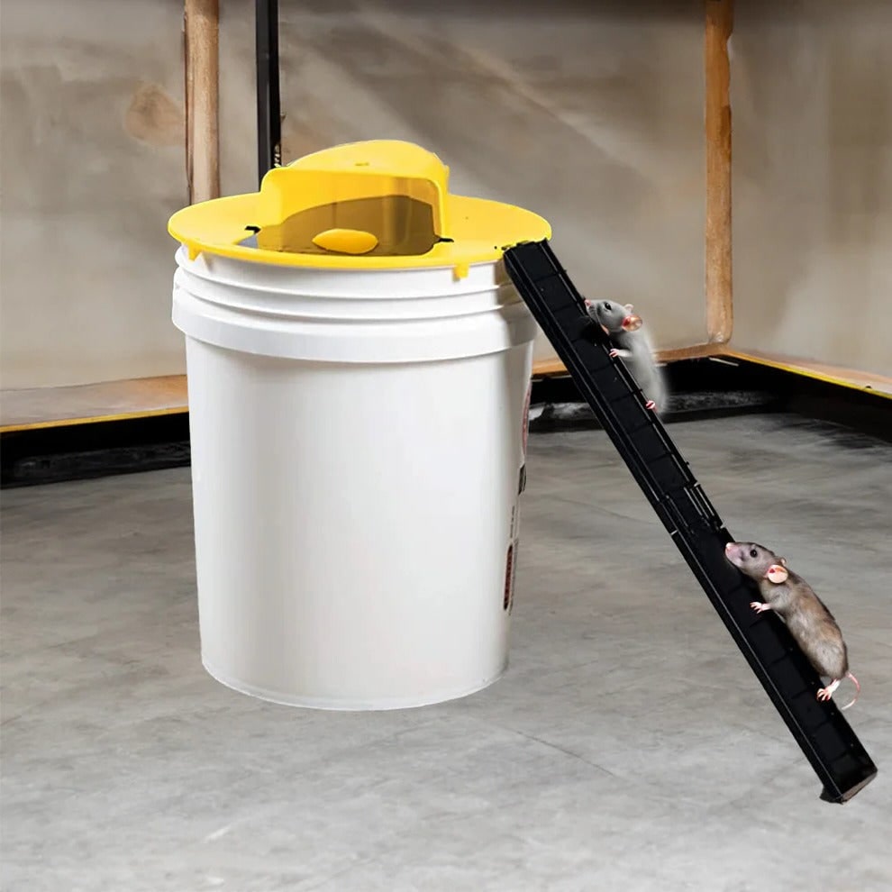 Bucket Mouse Trap with Automatic Reset and Multi-Catch Humane Ethical Design Adhesive