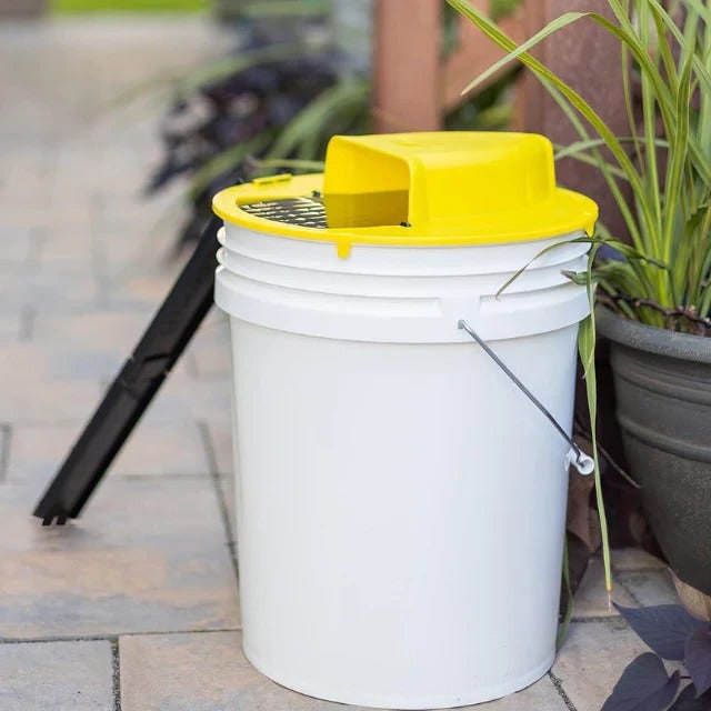Bucket Mouse Trap with Automatic Reset and Multi-Catch Humane Ethical Design Adhesive