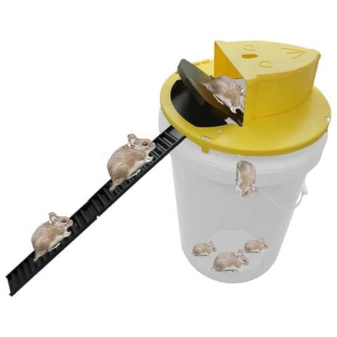 Bucket Mouse Trap with Automatic Reset and Multi-Catch Humane Ethical Design Adhesive
