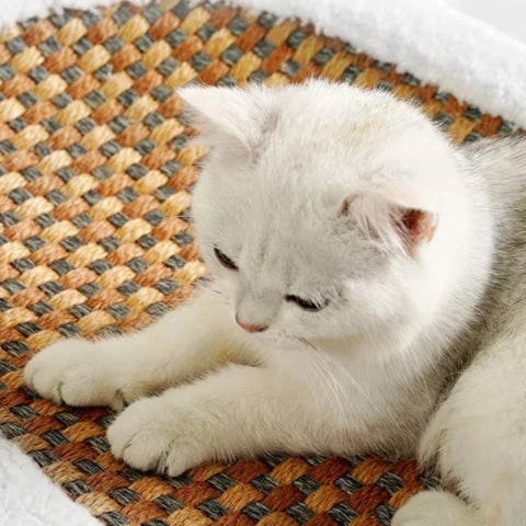 Cat Scratcher Bed with Heated Bolster Self Warming Sisal Mat and Oval Sherpa Fleece Design