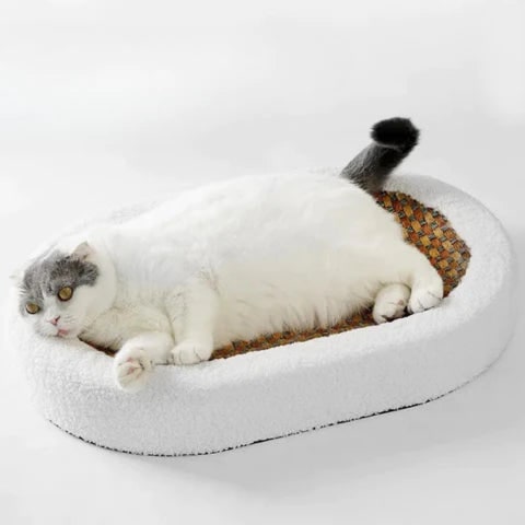 Cat Scratcher Bed with Heated Bolster Self Warming Sisal Mat and Oval Sherpa Fleece Design