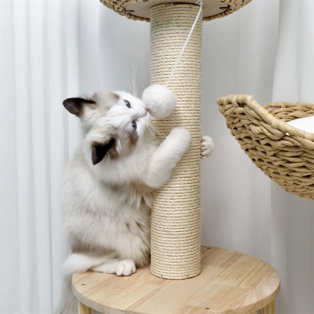 Cat Tree Condo Tower with Sisal Scratching Posts and Woven Basket Beds Floor To Ceiling