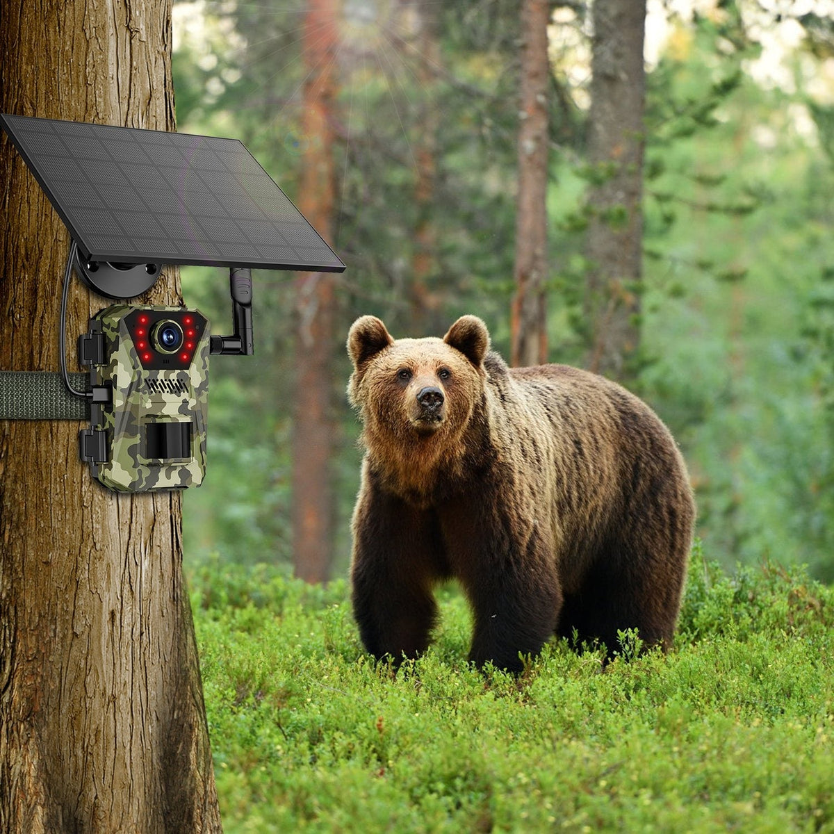 Cellular Trail Wildlife Camera with Solar Panel 4K Night Vision and Wireless Cell Connection