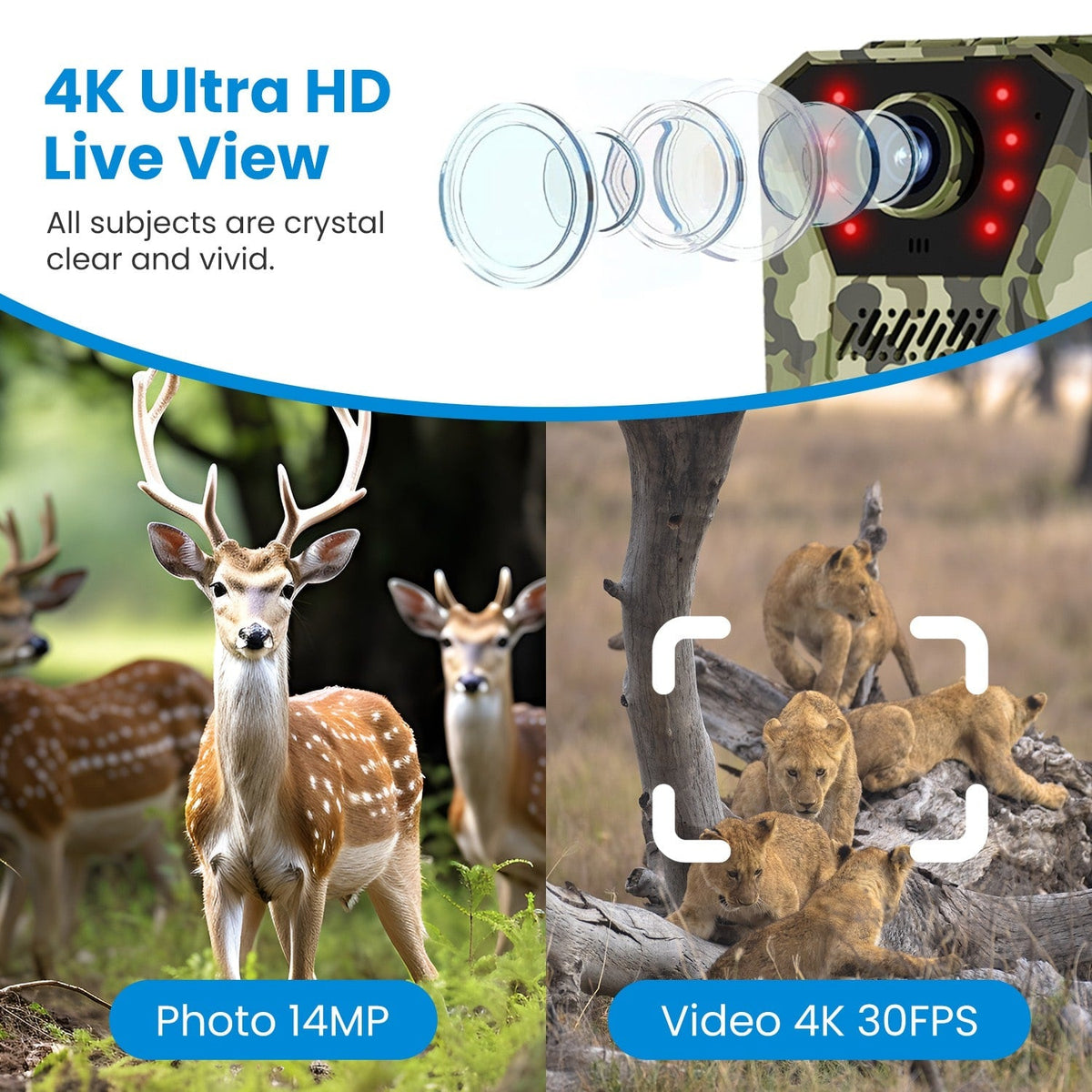 Cellular Trail Wildlife Camera with Solar Panel 4K Night Vision and Wireless Cell Connection