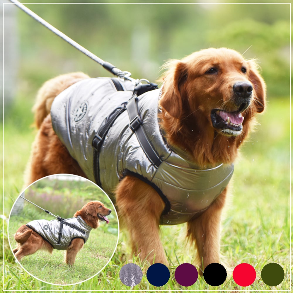 Cold Weather Dog Jacket with Harness Waterproof Padded Puffer Coat for Winter