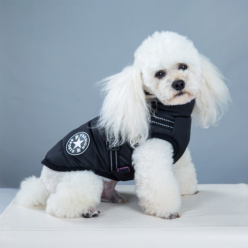 Cold Weather Dog Jacket with Harness Waterproof Padded Puffer Coat for Winter