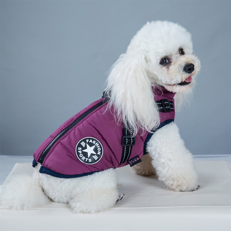 Cold Weather Dog Jacket with Harness Waterproof Padded Puffer Coat for Winter