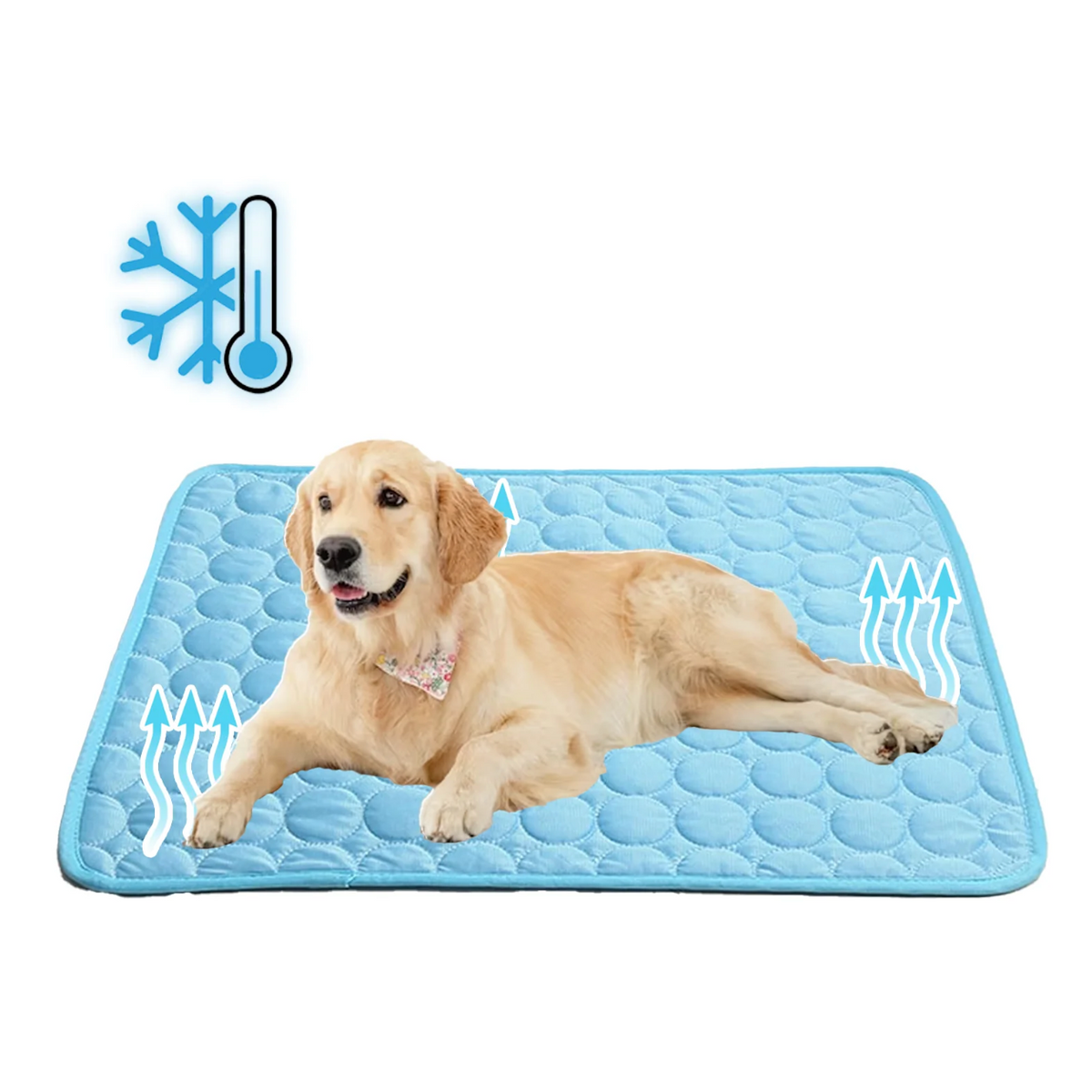 Portable Cooling Rest Mat for Dogs and Cats
