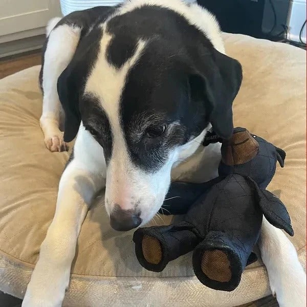 Dog Chew Toys Really Tough and Durable with Reinforced Seams for Aggressive Chewers Puzzle