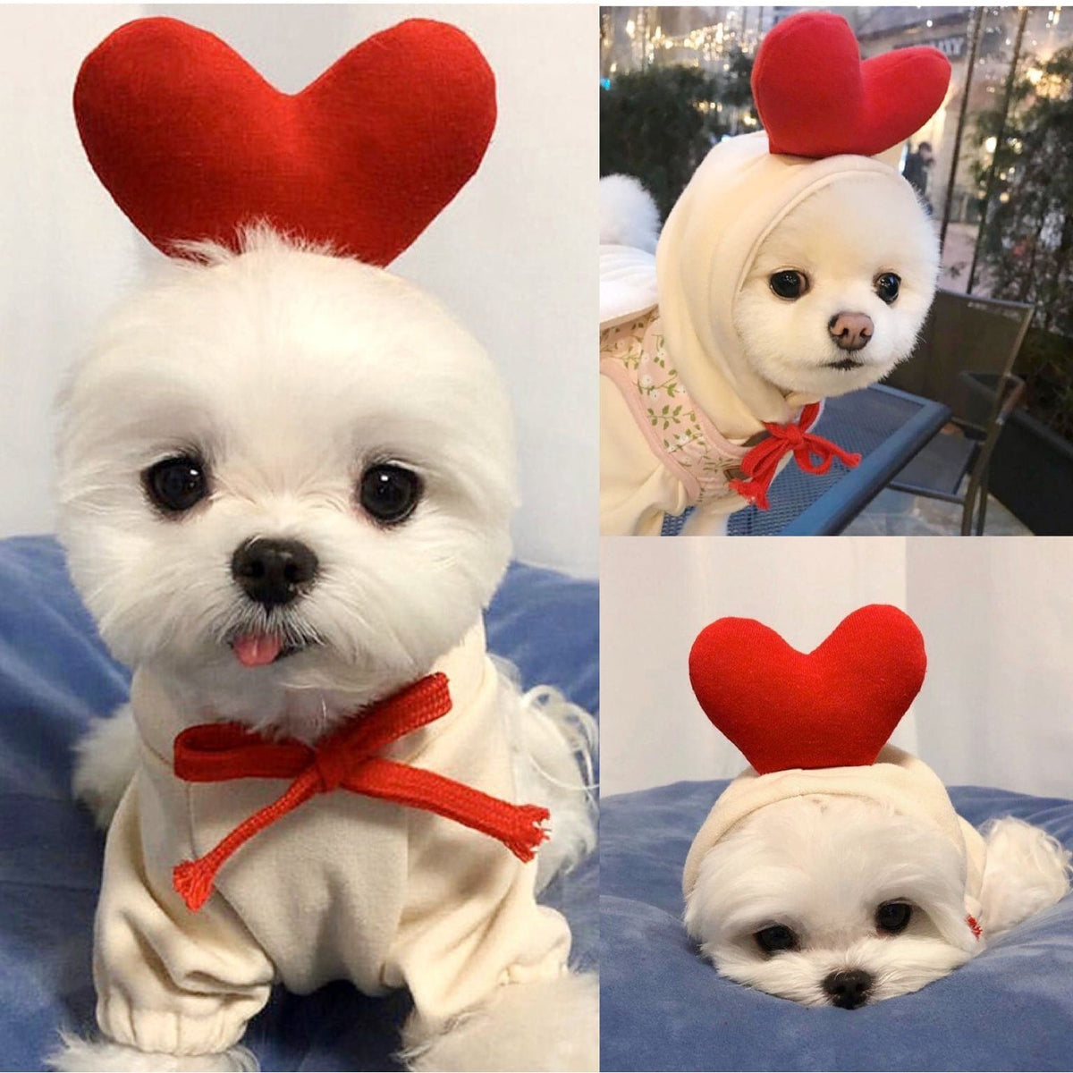 Dog Clothes Hoodie with Fleece and Novelty Hood Designs for Small Sweaters