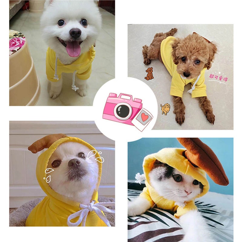 Dog Clothes Hoodie with Fleece and Novelty Hood Designs for Small Sweaters