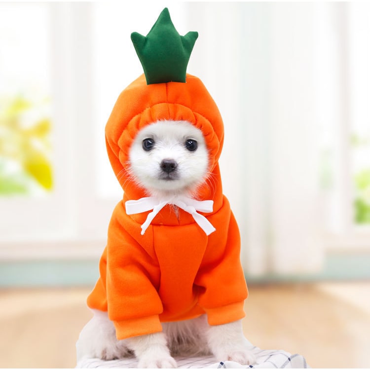 Dog Clothes Hoodie with Fleece and Novelty Hood Designs for Small Sweaters