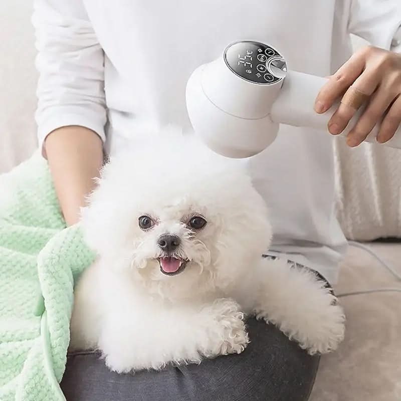 Dog Hair Dryer with Slicker Brush and Digital Temperature Control And Diffuser