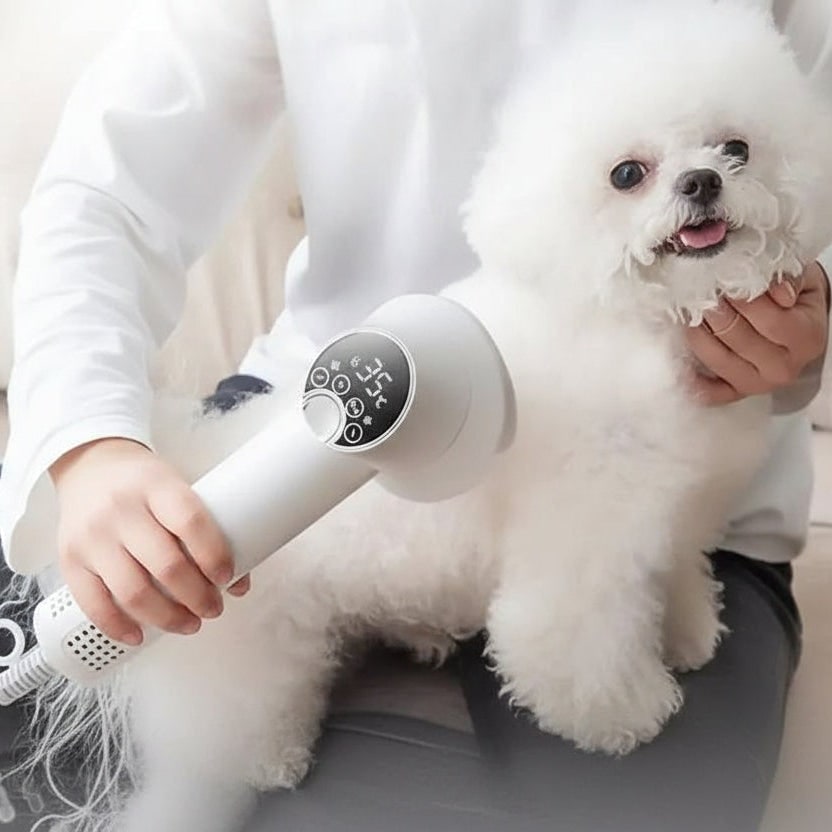 Dog Hair Dryer with Slicker Brush and Digital Temperature Control And Diffuser