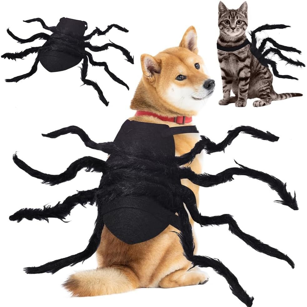 Dog Halloween Spider Costume with Adjustable Straps