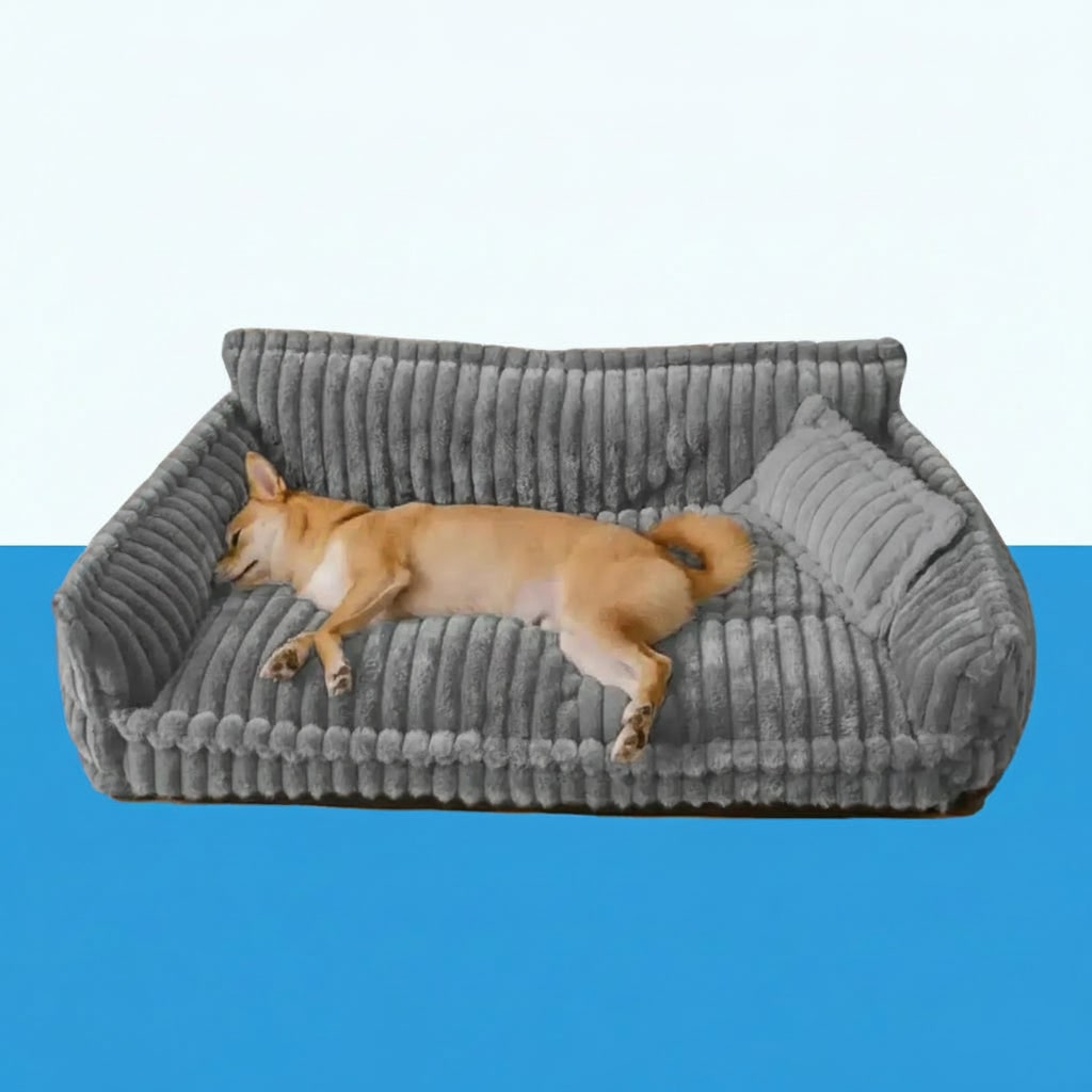 Dog Sofa Bed Washable Pet with Raised Bolsters and Plush Pillow Orthopedic