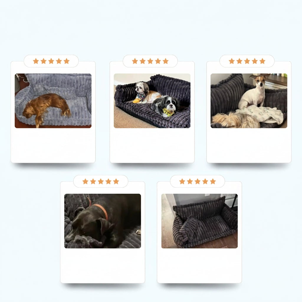 Dog Sofa Bed Washable Pet with Raised Bolsters and Plush Pillow Orthopedic