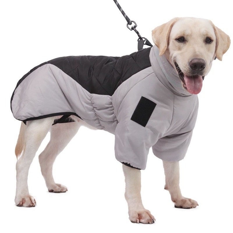 Dog Winter Coat with Water Resistant Fabric and High Collar for Large