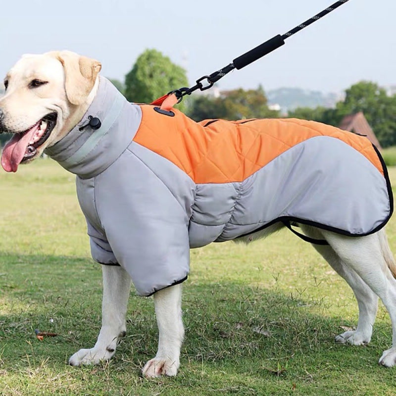 Dog Winter Coat with Water Resistant Fabric and High Collar for Large