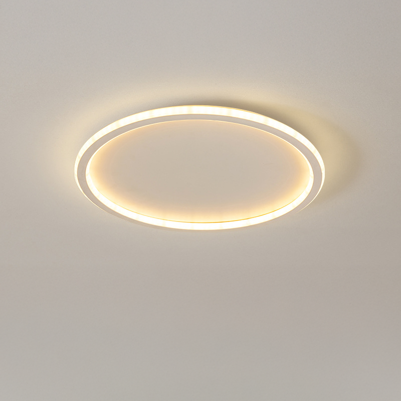 Flush Mount LED Ceiling Light Circular Modern Dimmable Fixture