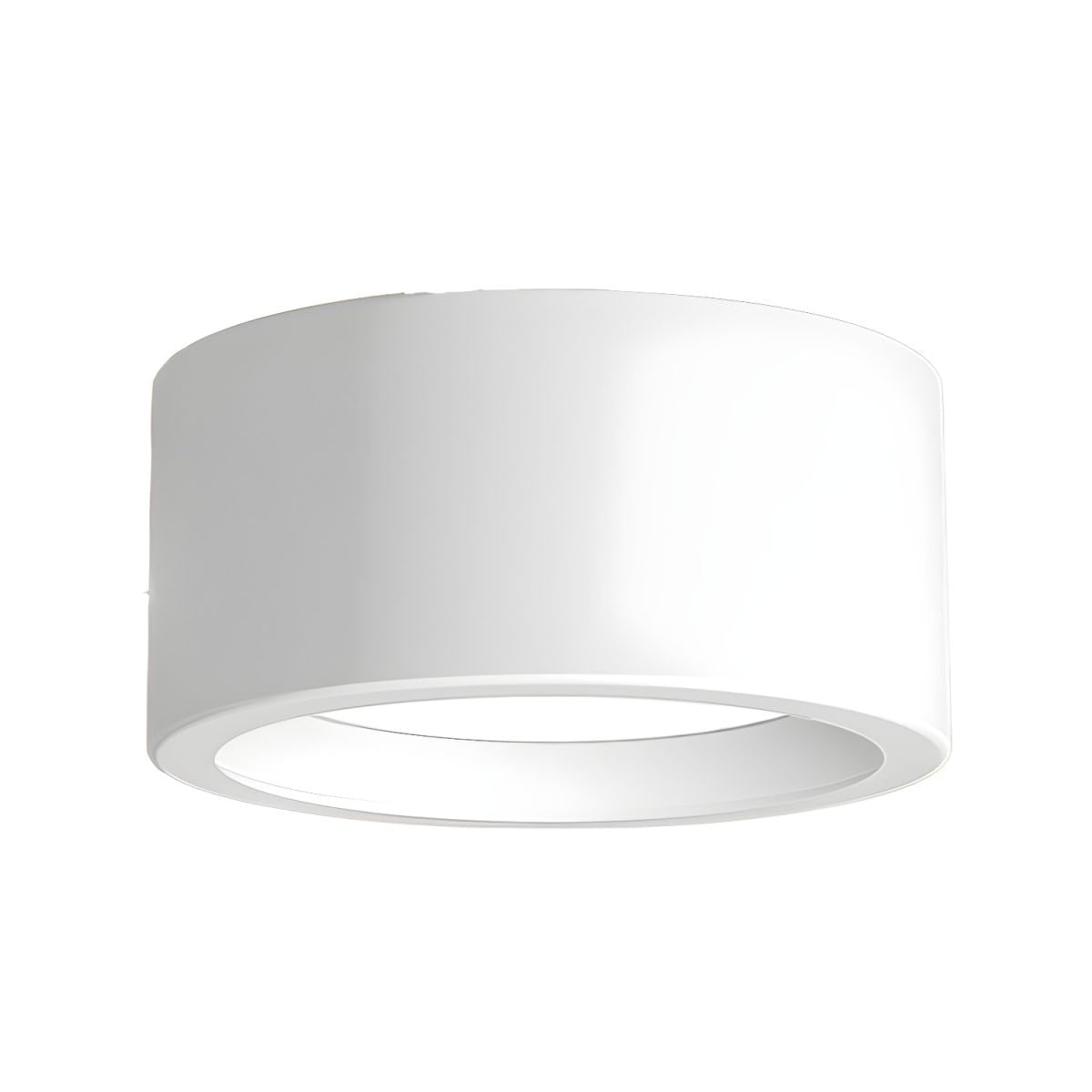 Flush Mount Cylinder LED Ceiling Light with Modern Design and Energy Efficient Lighting