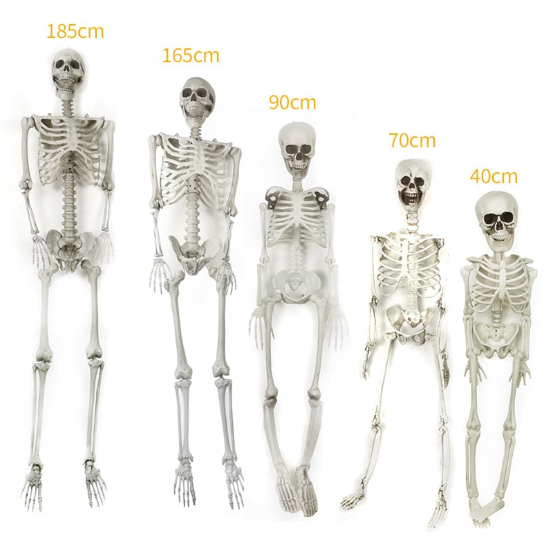 Halloween Skeleton Decoration and Garage Door Cover Posable Plastic Prop 12 Foot Tall