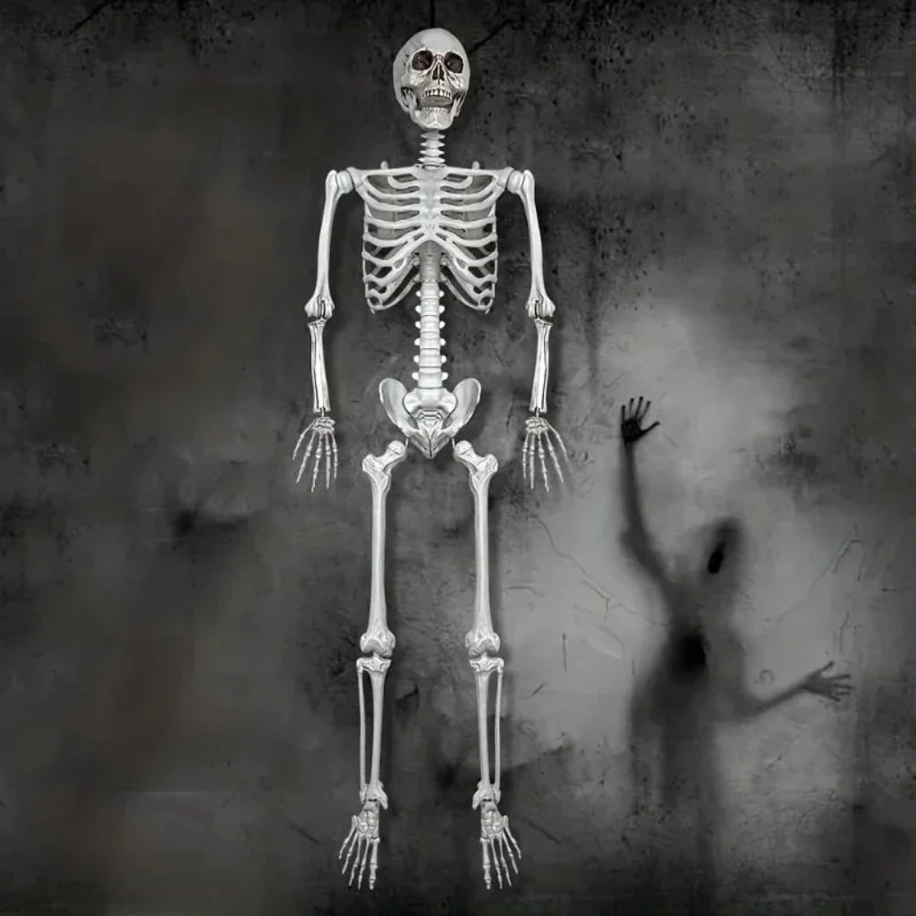 Halloween Skeleton Decoration Life Size Poseable Articulated Prop for Outdoor Yard and Party Display