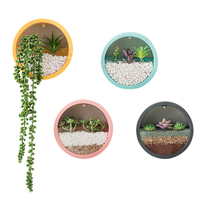 Hanging Wall Planter with Clear Front Panel for Succulents and Indoor Plants Vertical