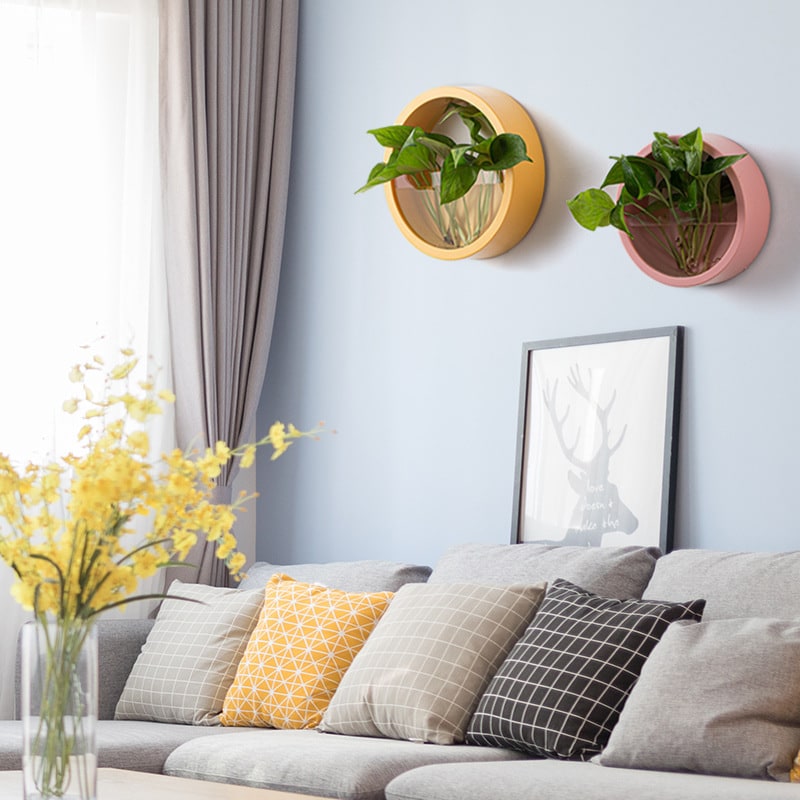 Hanging Wall Planter with Clear Front Panel for Succulents and Indoor Plants Vertical