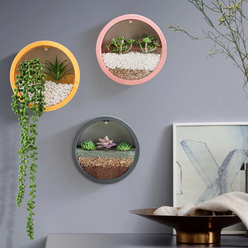 Hanging Wall Planter with Clear Front Panel for Succulents and Indoor Plants Vertical