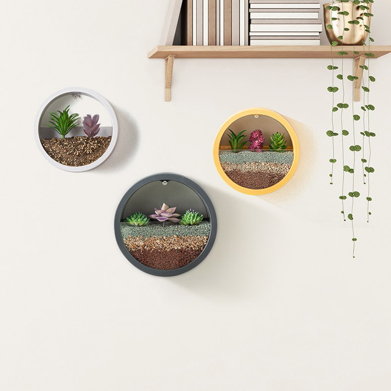 Hanging Wall Planter with Clear Front Panel for Succulents and Indoor Plants Vertical