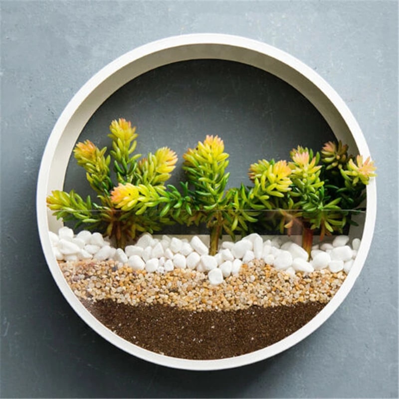 Hanging Wall Planter with Clear Front Panel for Succulents and Indoor Plants Vertical