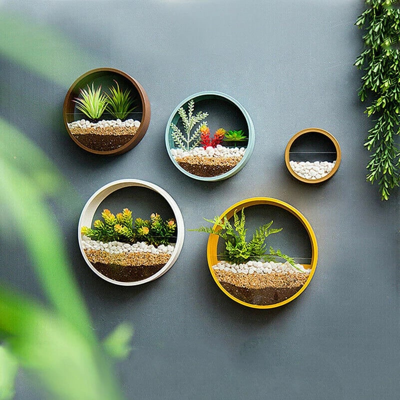 Hanging Wall Planter with Clear Front Panel for Succulents and Indoor Plants Vertical
