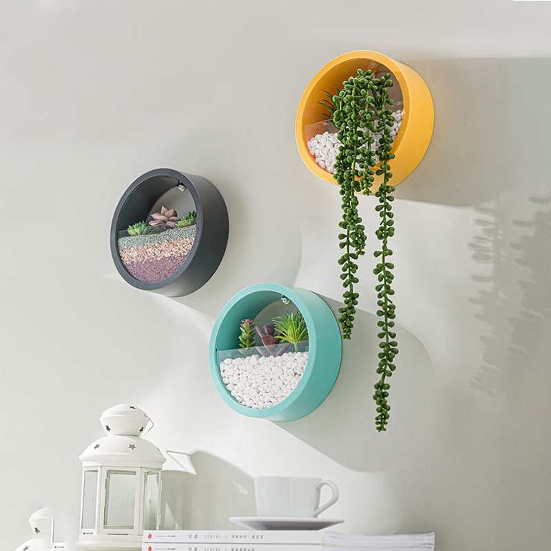 Hanging Wall Planter with Clear Front Panel for Succulents and Indoor Plants Vertical