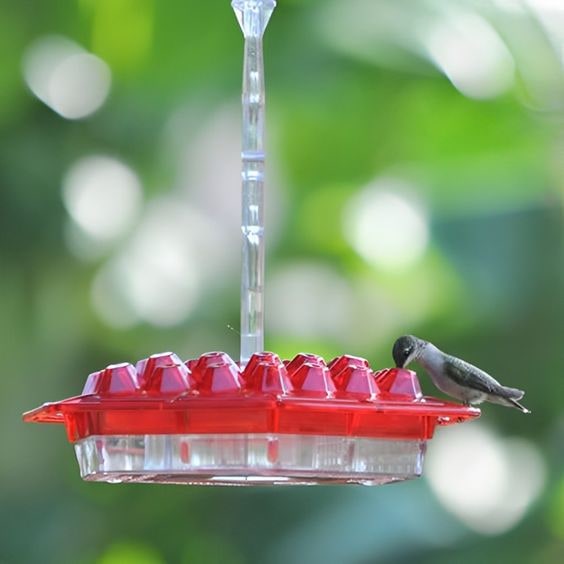 Hummingbird Feeder Hanging Plastic Outdoor Multiple Ports Perch Nectar