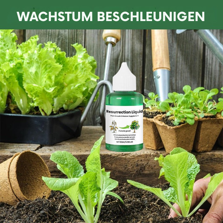 Indoor Plant Liquid Fertilizer with Rose Food and Supplement in Dropper Bottle for House