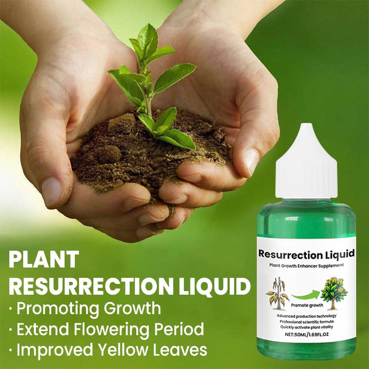 Indoor Plant Liquid Fertilizer with Rose Food and Supplement in Dropper Bottle for House