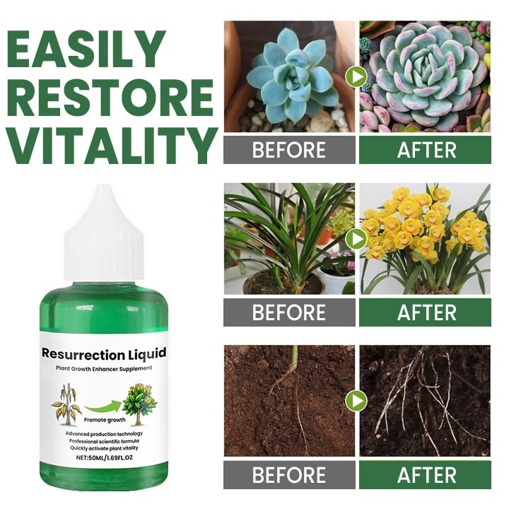Indoor Plant Liquid Fertilizer with Rose Food and Supplement in Dropper Bottle for House